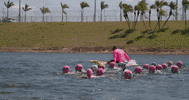 ProTriathletesOrg swim triathlon triathlete pto GIF