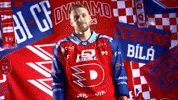 Hockeytown GIF by HC Dynamo Pardubice