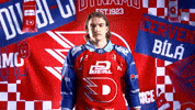 Hockeytown GIF by HC Dynamo Pardubice