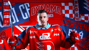 Hockeytown GIF by HC Dynamo Pardubice