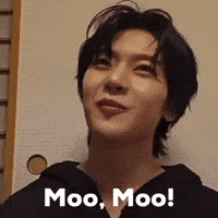Moo GIF