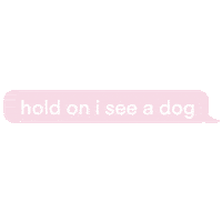 Dog See Sticker