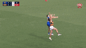 Fog Dont Argue GIF by Adelaide Crows