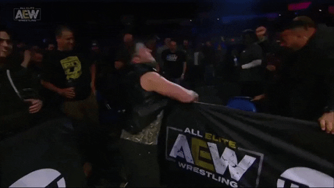 GIF by ALL ELITE WRESTLING