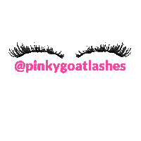 Beauty Lash Sticker by Pinky Goat Lashes