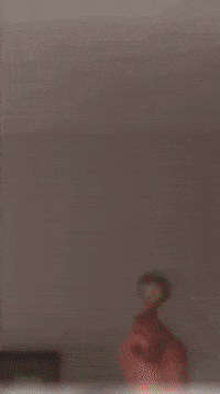 Cat Falling GIF