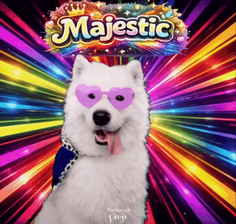 King Benji GIF