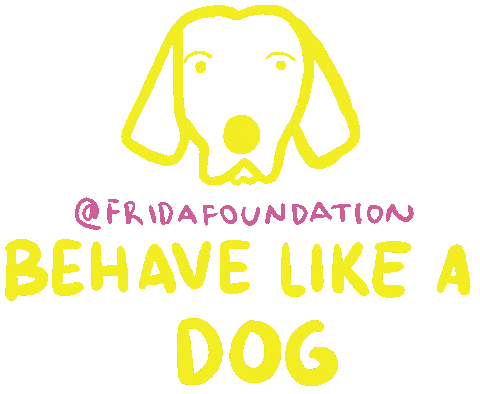 fridafoundation giphyupload dog donation fridafoundation Sticker