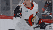 Happy Ottawa Senators GIF by NHL