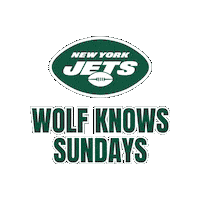 Football Nfl Sticker by Wicked Wolf Philly