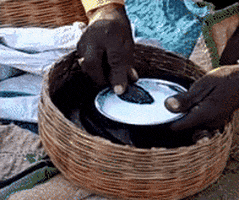 sandhujitendra giphyupload animal milk snake GIF