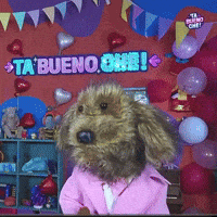 GIF by LIBERUM