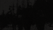 backstreet boys zombies GIF by SYFY