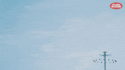 festival GIF by Studio Brussel
