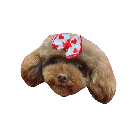 hamandbone giphygifmaker cute dog omg Sticker