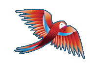 Bird Jungle Sticker