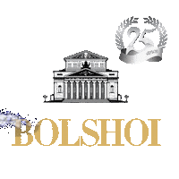 Escola Bolshoi Sticker by Bolshoi Brasil