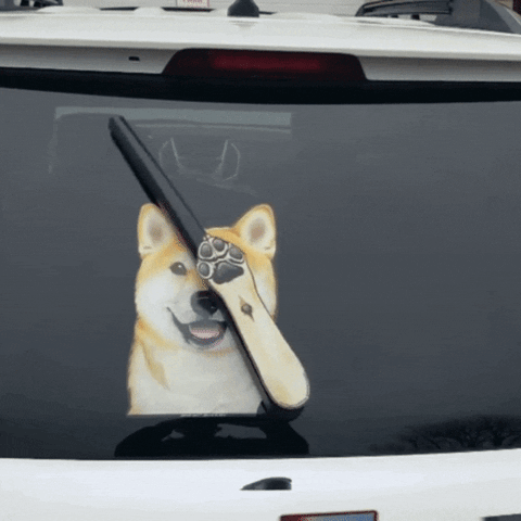 pollypocks  GIF