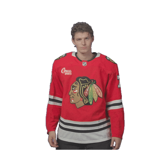 Chicago Sticker by NHLBlackhawks