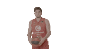 Liga Endesa Basketball Sticker by ACB
