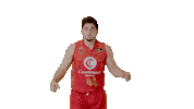 Celebrating Lets Go Sticker by ACB