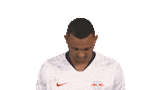 Happy Red Bulls Sticker by Bundesliga