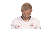 Happy Red Bulls Sticker by Bundesliga
