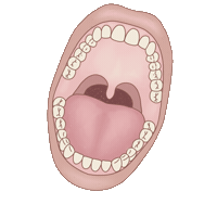 estomatologicas mouth odontologia boca odonto Sticker