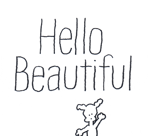 You Are Beautiful Hello GIF by Chippy the Dog