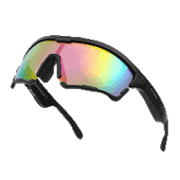 RYIDAR sunglasses speed linklens ryidar Sticker