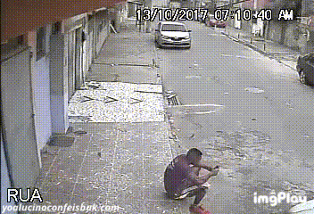 dog pee GIF