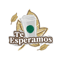 Sbuxsv Sticker by Starbucks El Salvador