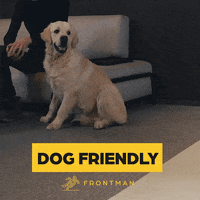imfrontman dog pes corpo frontman GIF