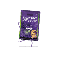 Dance Grow Sticker by ATAMI