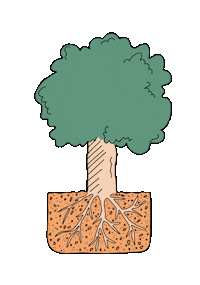 Tree Baum Sticker by Link Substrate und Erden