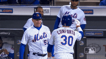 ny mets smile GIF by New York Mets