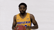 Basketball GIF by Hofstra Pride