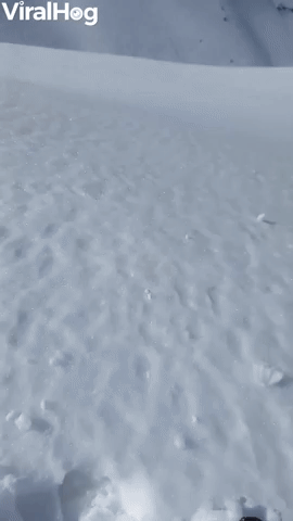 Sticky Snow Helps Snowballs Grow