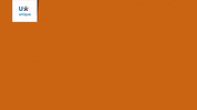UniqueNederland zwaaien hoi doei jijbentunique GIF