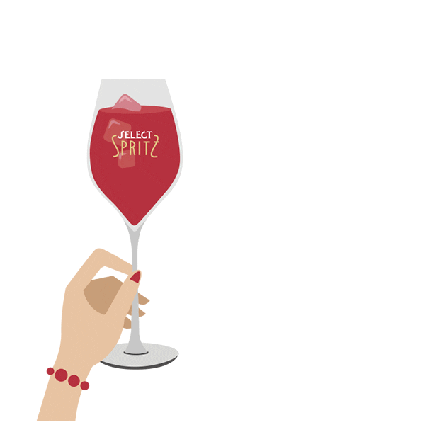 Drink Cheers Sticker by SelectAperitivo