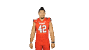 Utah Utes Sticker by Utah Football