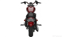 Harley Davidson GIF by 007Plate.com