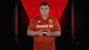 1 Fsv Mainz 05 Wtf GIF by Bundesliga