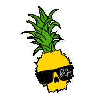 Sunglasses Spin Sticker by Catch Surf