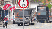 GrupoVigifort ivan blumenau utv reino garcia GIF
