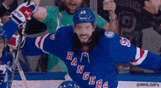 Ice Hockey Sport GIF by NHL