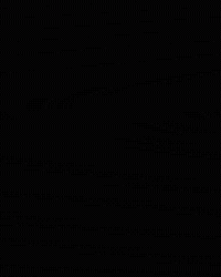 Mens Tennis GIF by Louisville Cardinals