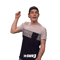 Swr3 No Sticker
