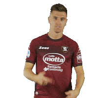 Salernitana piatek salernitana Sticker