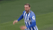 Soccer Futbol GIF by Brighton & Hove Albion Football Club